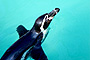 photo_014