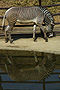 photo_015