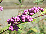 photo_034