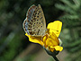photo_035