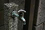 photo_044