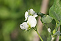 photo_045