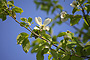 photo_047