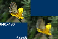 �W�{��