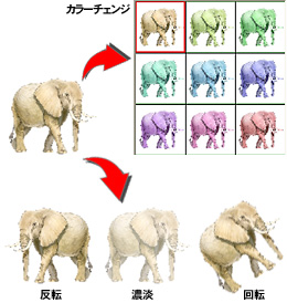 豊富できれいな素材