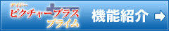 �f�C�W�[�s�N�`���[�v���X �v���C���@�@�\�Љ�