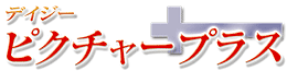 �f�C�W�[�s�N�`���[�v���X