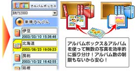 AoAo{bNX