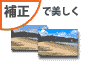 ␳