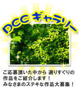 DCCM[