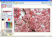 [VK]{^NbN
