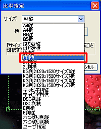 「比率指定」ウインドウ 「L判横」をクリックで選択
