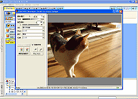 uSILKYPIX Developer Studio for Daisy Collagev_CAO