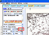 [c]{^NbN