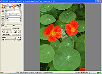 uSILKYPIX Developer Studio for Daisy Collagev_CAO