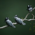 Wild bird : 0121
