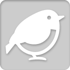 Wild birds
