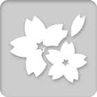 Cherry blossoms