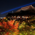 Autumn leaves : 0035