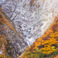 Autumn leaves : 0003
