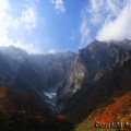Autumn leaves : 0004