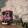 Railway : 0135