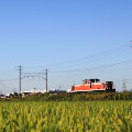 Railway : 0182