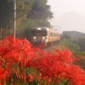 Railway : 0194