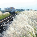 Railway : 0004