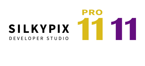通販モノタロウ SILKYPIX Developer Studio PRO11 DVD-ROM版 その他