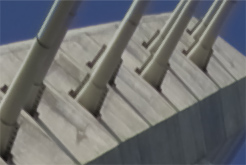 ␳