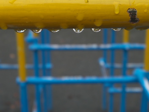 誰もいない雨の日の公園。Qと一緒なら新しい発見がある。